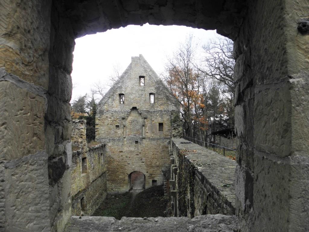 Klosterruine Disibodenberg - 2015